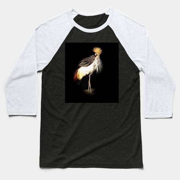 Grey crowned crane Baseball T-Shirt by Guardi